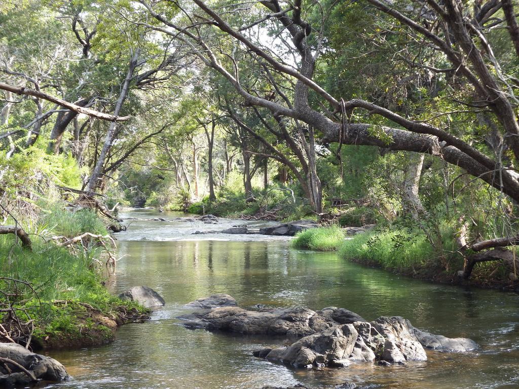 Blyde River Cabins Hoedspruit Dış mekan fotoğraf