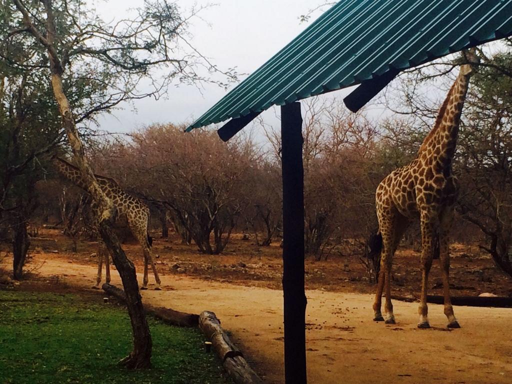 Blyde River Cabins Hoedspruit Dış mekan fotoğraf